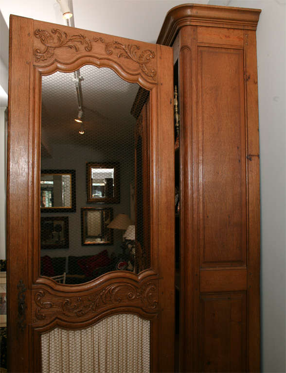 19th Century French Provincial 19th century monumental bookcase